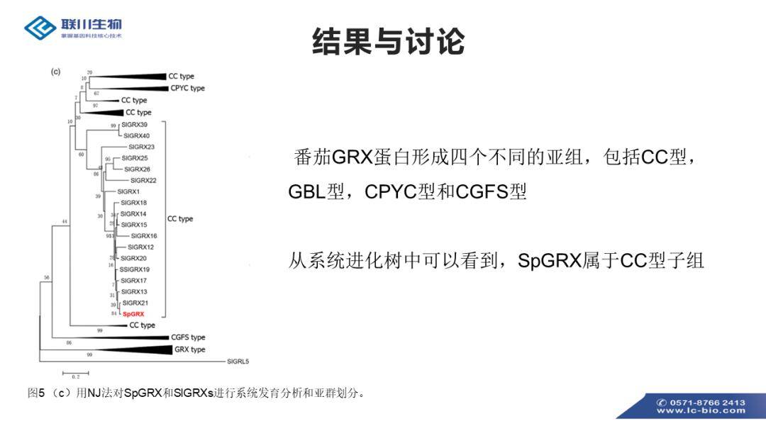 新奥天天免费资料单双中特,新奥天天免费资料单双中特，探索与解析