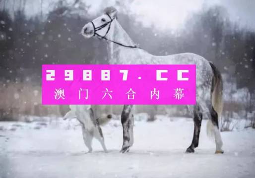 澳门正版一肖一码,澳门正版一肖一码，探索与揭秘