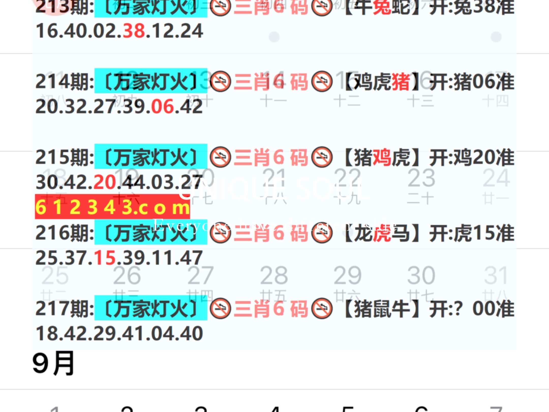 澳门王中王100%期期中146期 11-16-17-37-41-47K：42,澳门王中王期期中奥秘，探索第146期的秘密与数字的魅力