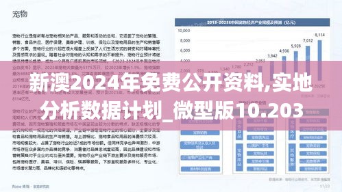 2025新澳兔费资料琴棋095期 06-19-32-45-46-48T：19,探索新澳琴棋资料，解析2025年琴棋第095期数据之谜